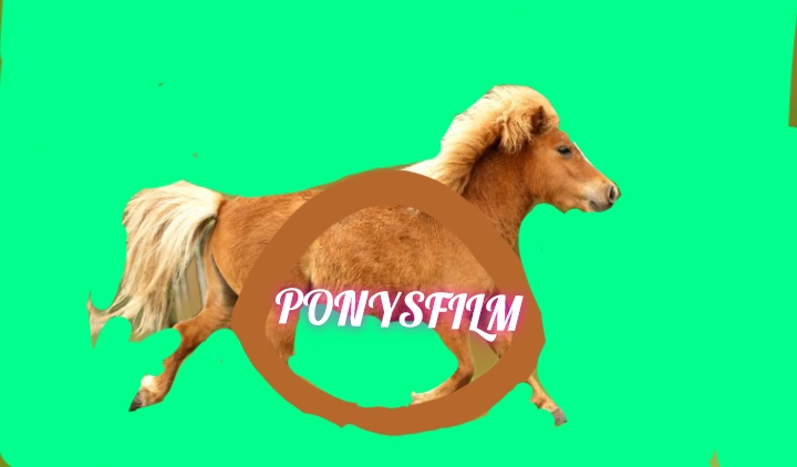 PonysFilm